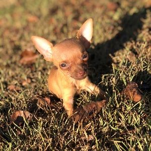 Meet your Posher, Madison